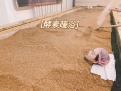-敖东酵素·离子暖房