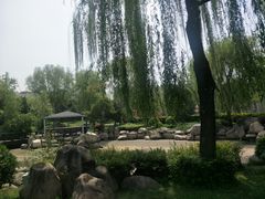 -唐城墙遗址公园