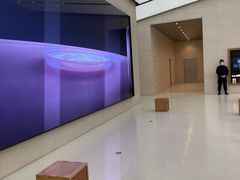 -Apple零售店(苏州店)