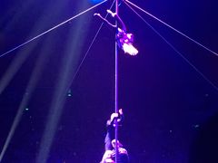 -珠海横琴长隆《卡卡虎奇遇记》