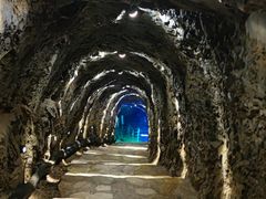 -八奇洞景区