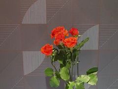 -栾氏荟(柳园店)