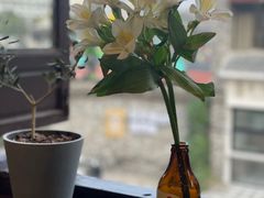 -青莯_Percher Coffee Shop(皮市街店)
