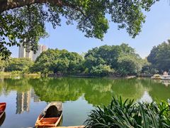 -晓港公园