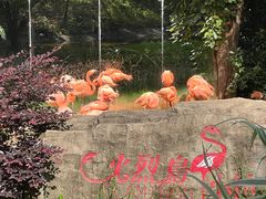 -云南野生动物园