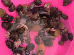 -那香海钻石沙滩浴场