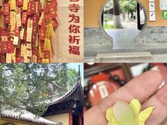-灵谷景区