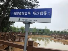 -日照海滨国家森林公园