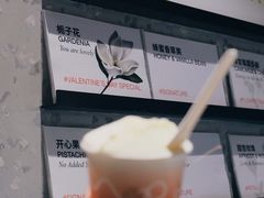 -Dip in Gelato(富民路店)