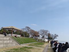 -观潮胜地公园