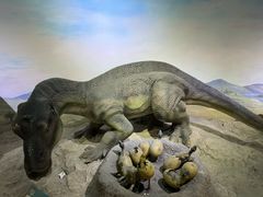 -国家自然博物馆