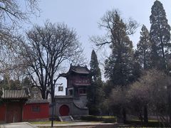 -晋祠公园