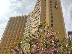 -上海神旺大酒店