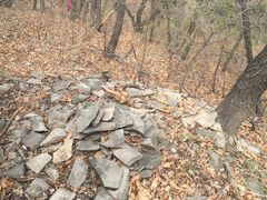 -帽儿山国家森林公园