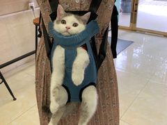 -仁华宠物医院(青羊店)