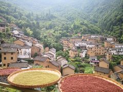 -阳产土楼