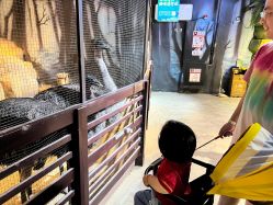 -酷嗒动物文化乐园(cutezoo西溪乐天城店)