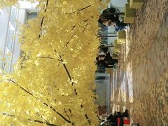 -义乌之心城市生活广场(新马路店)