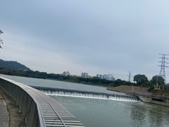 -风云岭森林公园