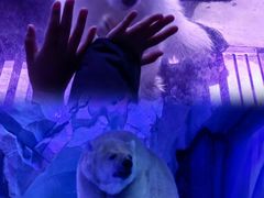 -上海海昌海洋公园