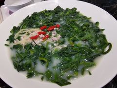 鸽汤万年青-大鸽饭(北京路店)