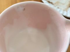 -猫里有甜