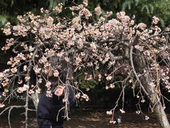 -白塘生态植物园