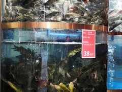 水产区-蜀滋香鲜鱼美蛙火锅(339店)