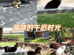 -北京市劳动人民文化宫(太庙)