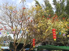 -南沙天后宫景区