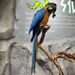 -Zoolung Zoolung动物主题公园(海信广场店)