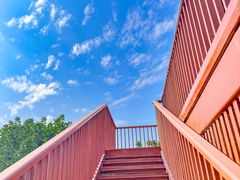 -银湖山郊野公园-相思林