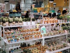 -KKV(深圳宏发大仟里店)