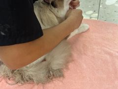 -FAELING PETS美天灵宠物(合生汇店)
