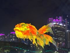 -海心沙亚运公园