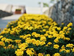-江苏三台山国家森林公园