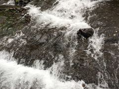 -峡谷浮石林景区