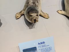 -大连自然博物馆