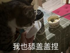 -霸王茶姬(西单百货店)