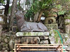 -奈良公园