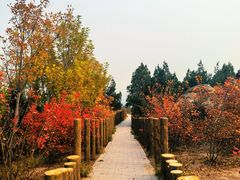-白水寺森林公园