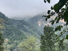 -泰山风景名胜区