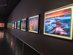 -罗红摄影艺术馆