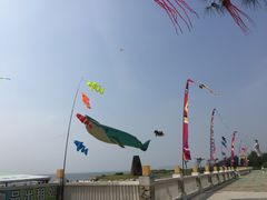 -汕头中海黄金海岸水上乐园