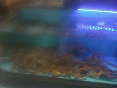 -阿伟海鲜楼·福建菜(延寿店)