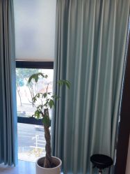-碧莲盛不剃发植发