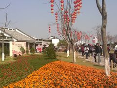 -海珠湖公园