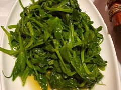 清炒丝瓜尖-渝信川菜(工体店)