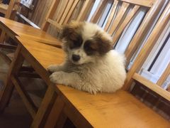 -云河农家乐饭店(福禄缘树山店)