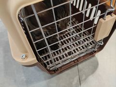 -伟伟宠物医院·CT影像中心·瑞派犬猫综合性门诊(汉口总院)